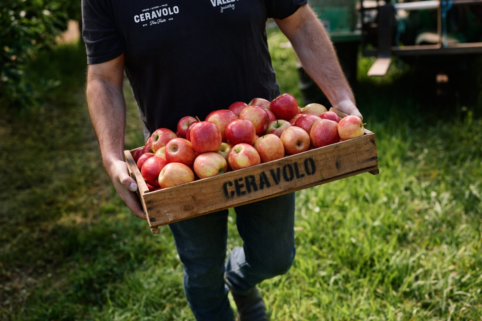 A person walking on grass holding a crate of apples