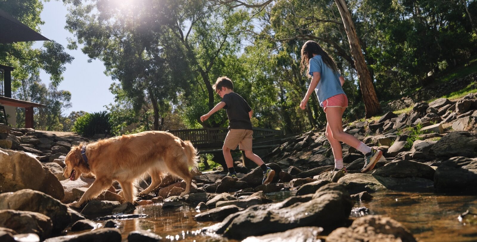 kids and a dog walking over rocks through a creek