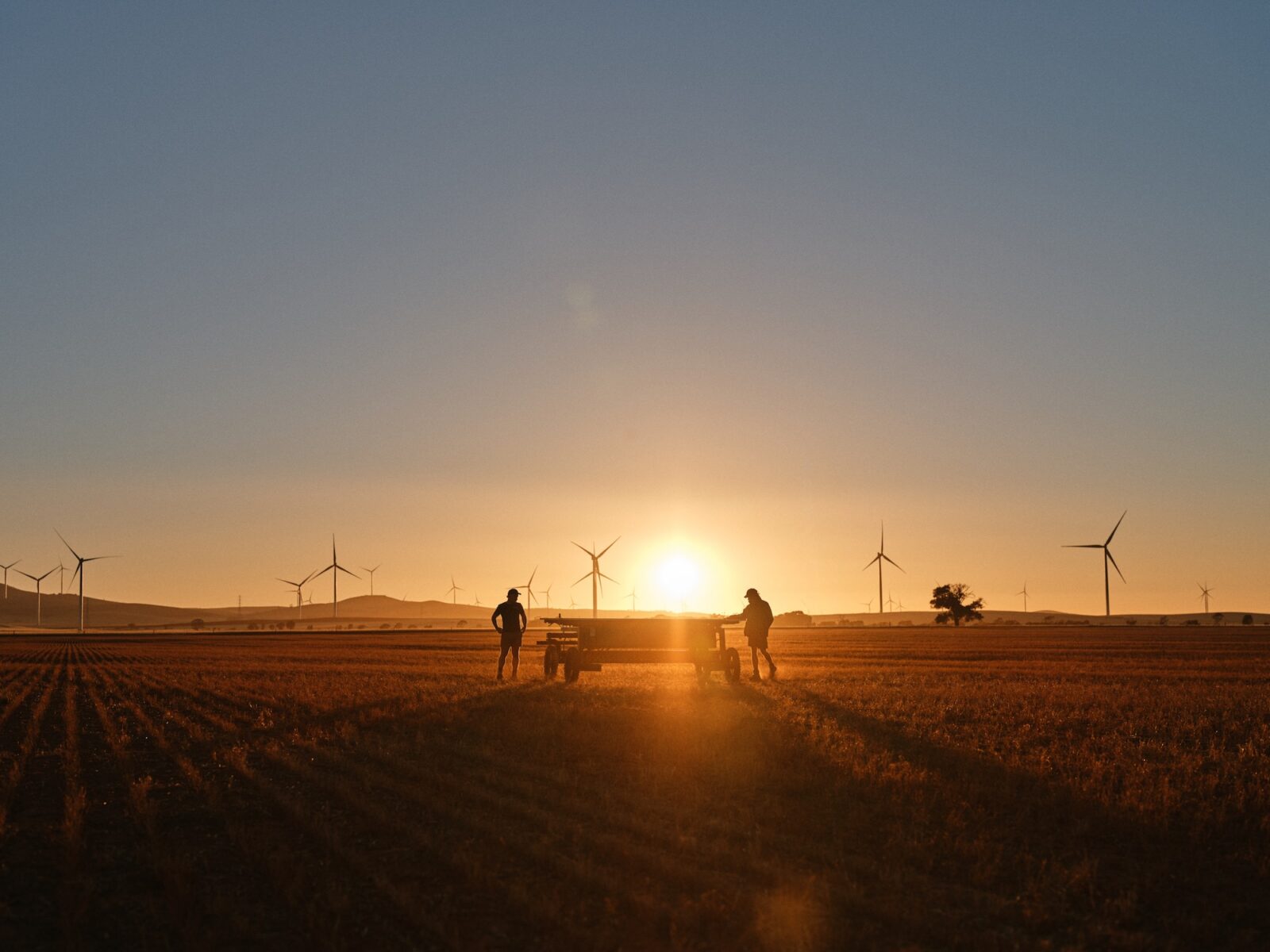 two farmers on the farm with a wind farm and sunset in the background