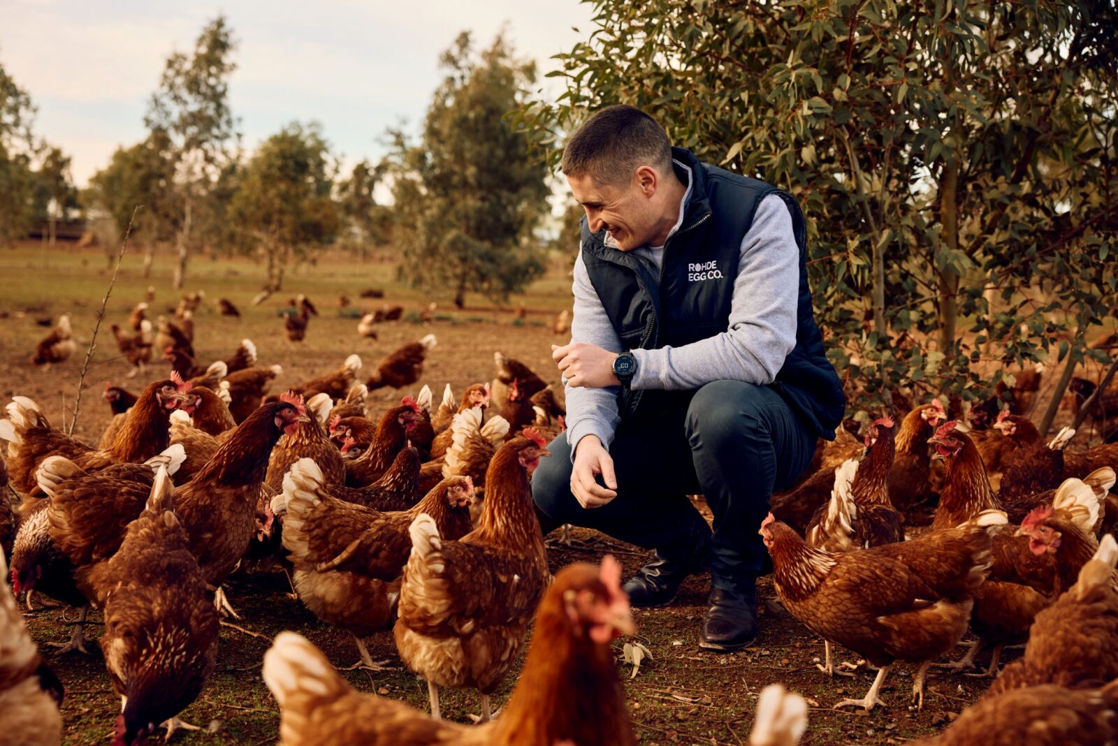 A person from Rohde's Eggs kneling down on the ground outside, surrounded by chickens