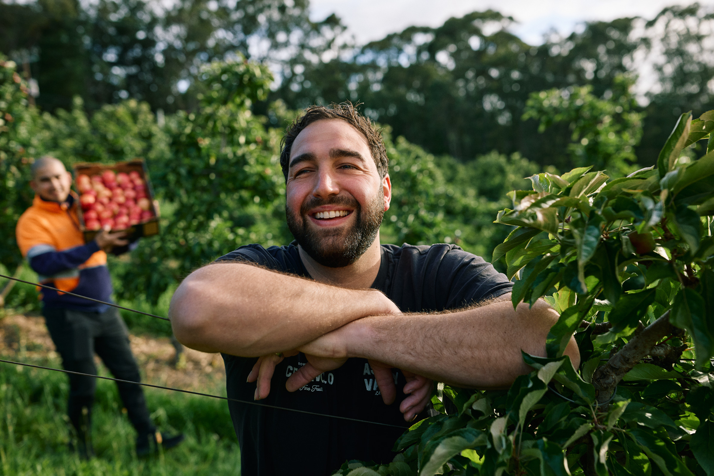 Ceravolo Orchards